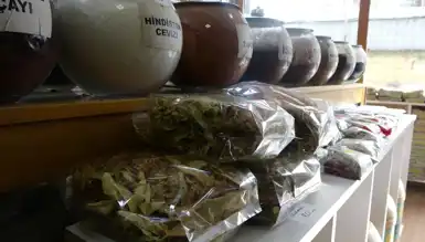 Ihlamur Fiyatları Tavan Yaptı: %100 Zam!