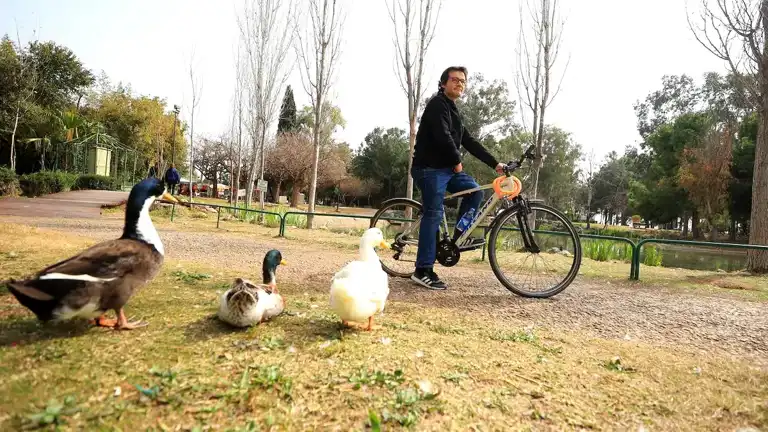 5 Ayda 31 Kilo Verdi! Sağlıklı Hayat Merkezi'nin Başarısı